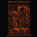 Pandemic Horror And Hate