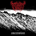Ascension (Remastered)