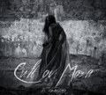 Is Coming ( promo album 2014)