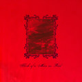 Flesh of a Man in Red