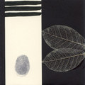 Night Soil