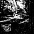 Ritual Mist