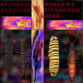 Masks Of Living And Dead - Remastered