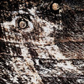 Apati