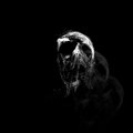 Elegies