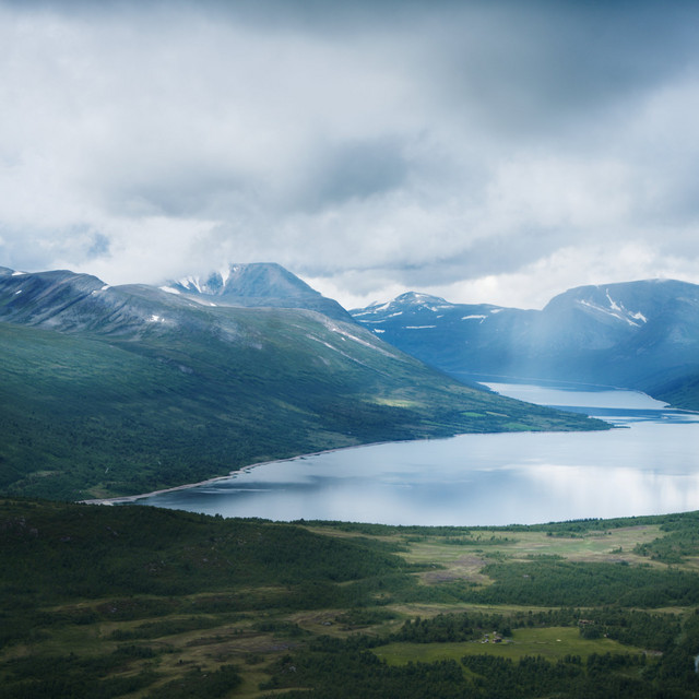 Tundra