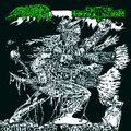 Sněť / Grave Infestation split 7''