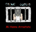 Mi Hanno Arrestato