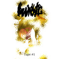 [2013] Tape #1