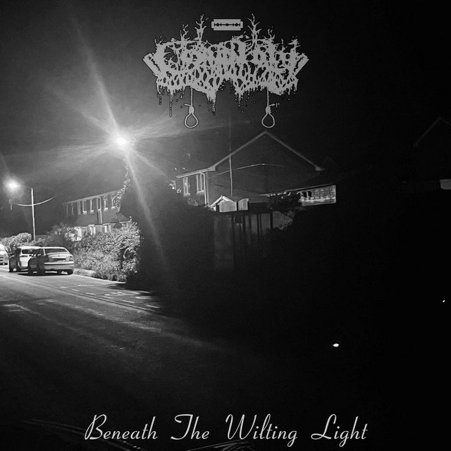Beneath the Wilting Light