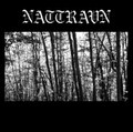 Nattravn