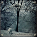 Forest of Consciousness