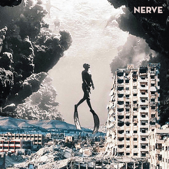 Nerve