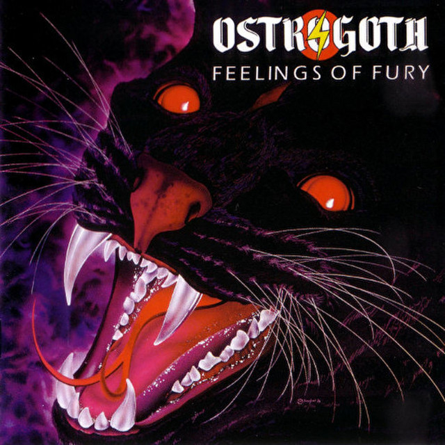 FEELINGS OF FURY