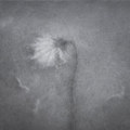 Dying Away in The Deep Fall