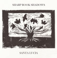 Sharp Rook Shadows