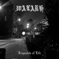 Fragments of Life