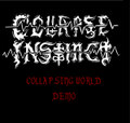 Collapsing World Demo