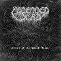 Nexus of the Black Flame