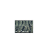 Mindsnare (White EP)