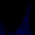 Anamnesis