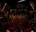 Visceral hate (Hecatombe records)