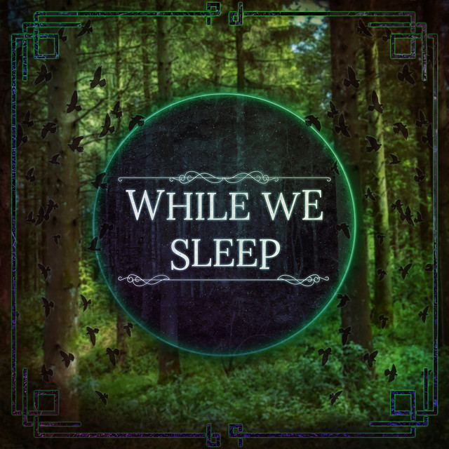 While We Sleep