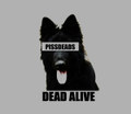 Dead alive'24