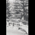 Endlichkeit VI–VIII