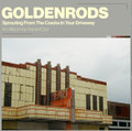 Goldenrods Sprouting from the Cracks in Your Driveway