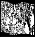 NEWFOUNDLAND