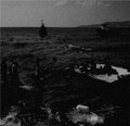 Into Sea