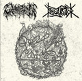 Deiquisitor Split