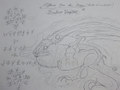 Drilhius Fustus