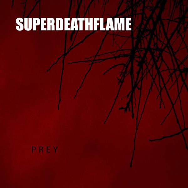 Prey