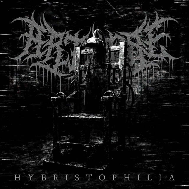 Hybristophilia