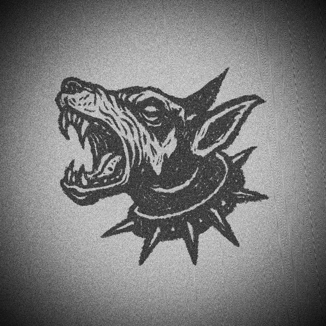 Verikoira