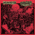 Split w/ Hallucination Realized