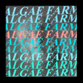 ALGAE FARM