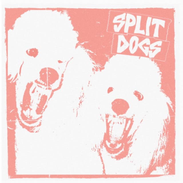 SPLIT DOGS