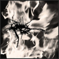 Age of Pestilence