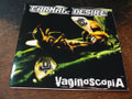 Vaginoscopia