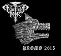 Promo 2015
