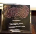 Promo Demo 2015