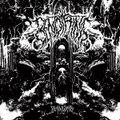 Benothing / Warp Chamber - split