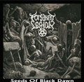 Seeds of black dawn