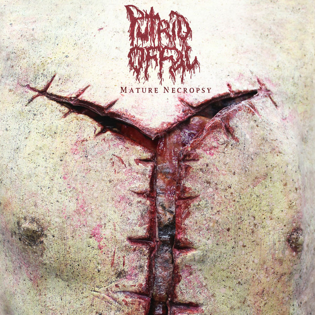 Mature Necropsy