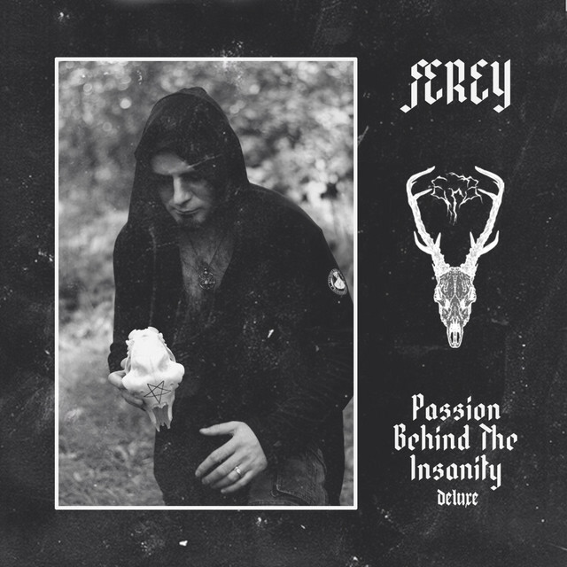 Passion Behind the Insanity (Deluxe)