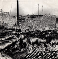 Disease