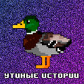 Утиные истории